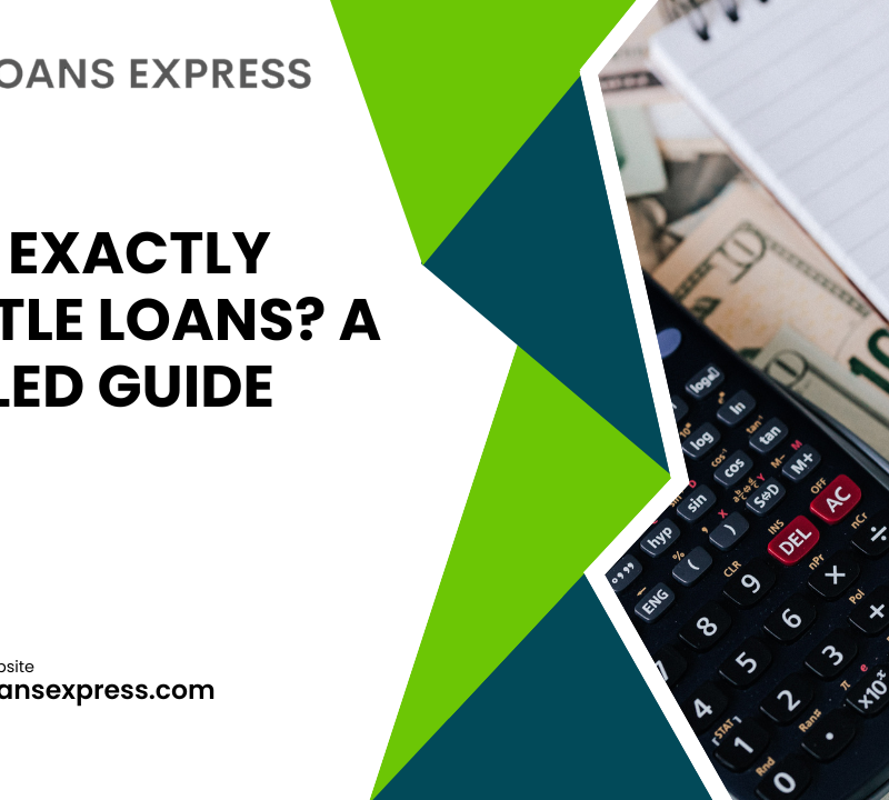 What Exactly Are Title Loans? A Detailed Guide